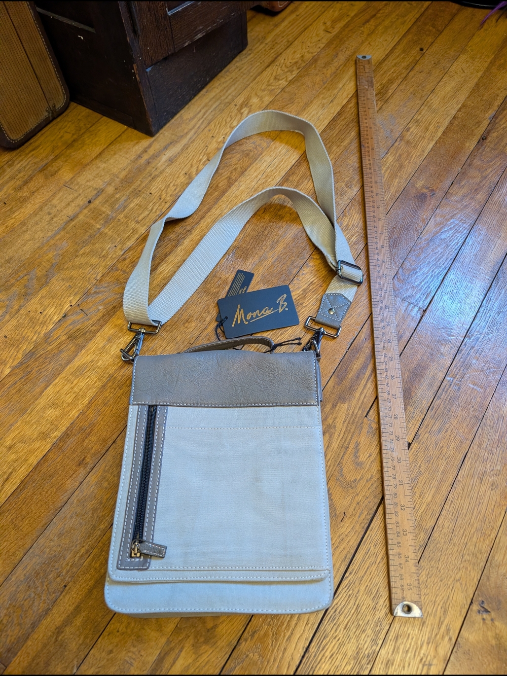 Mona B Crossbody Tech Bag in Beige and Taupe